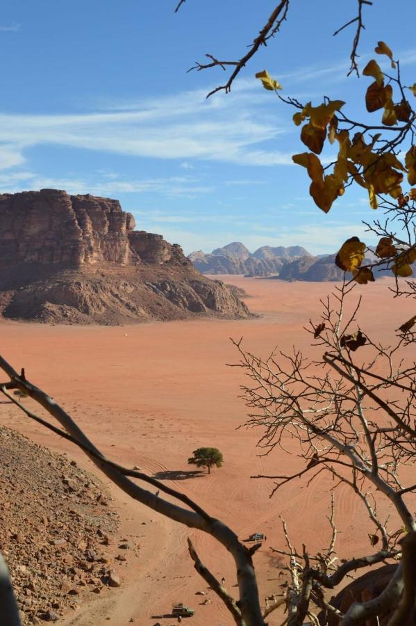 فندق وادي رمفي  Caravan Station Camp المظهر الخارجي الصورة