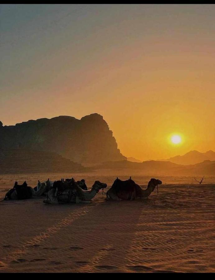 فندق وادي رمفي  Caravan Station Camp المظهر الخارجي الصورة
